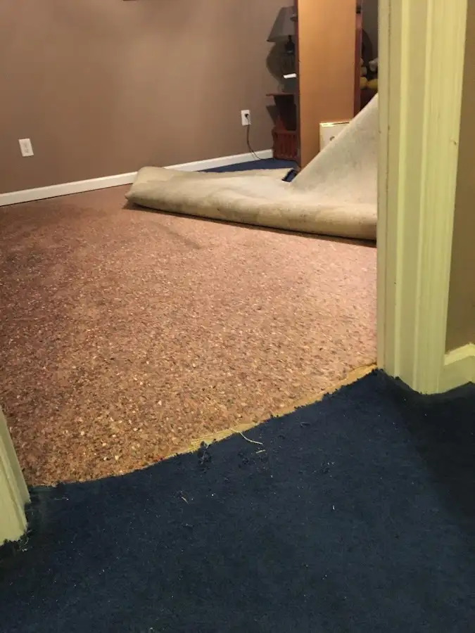 Carpet pad removal revealing water damage during Drying & Dehumidification in Uxbridge